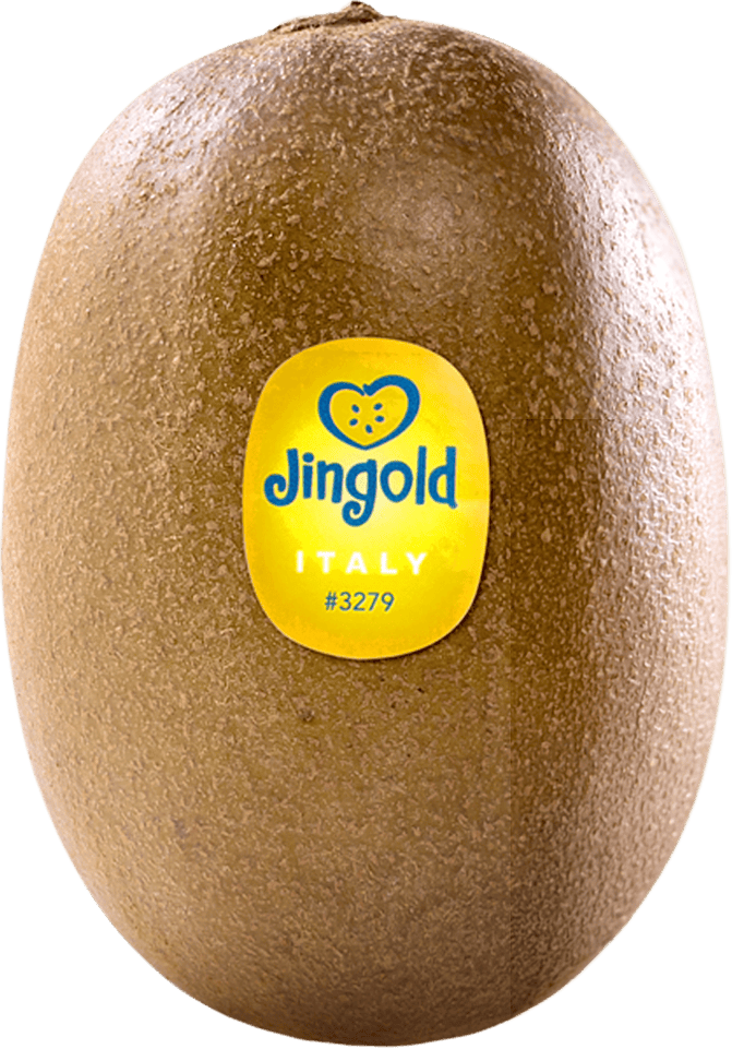 Kiwi giallo