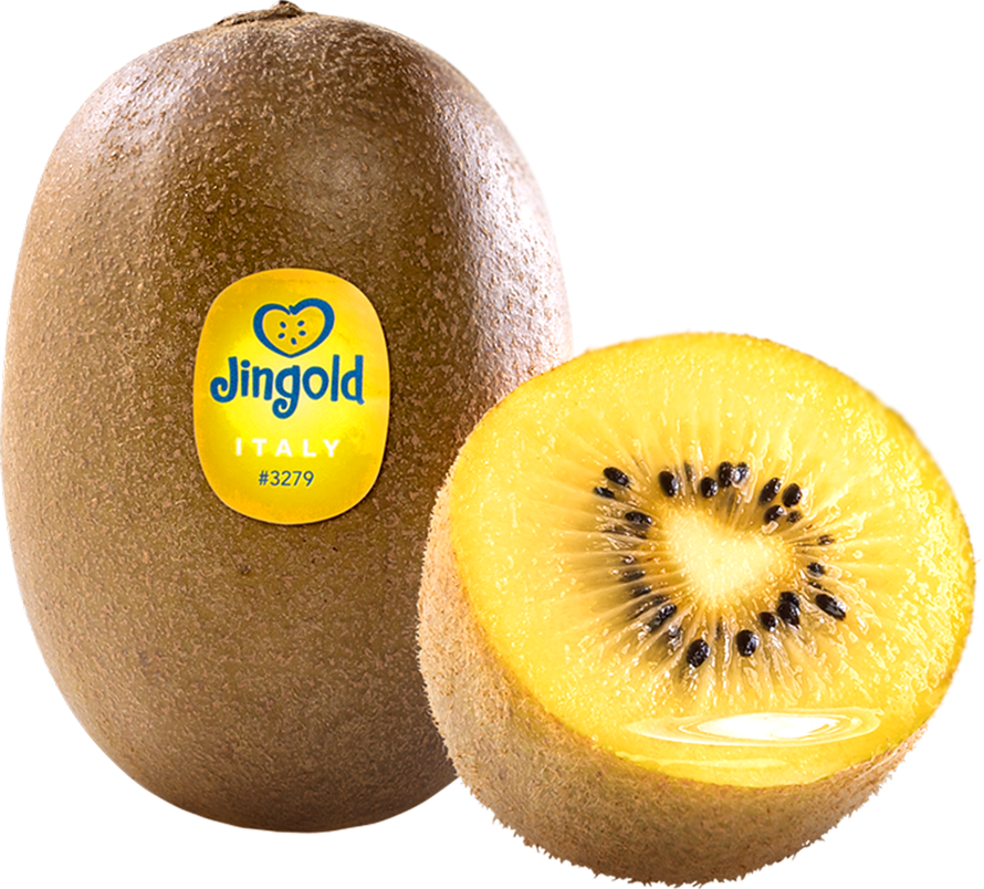 Kiwi Giallo Jingold